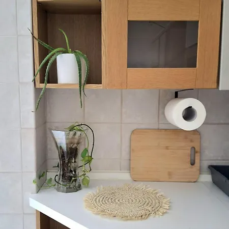 Appartement Flat